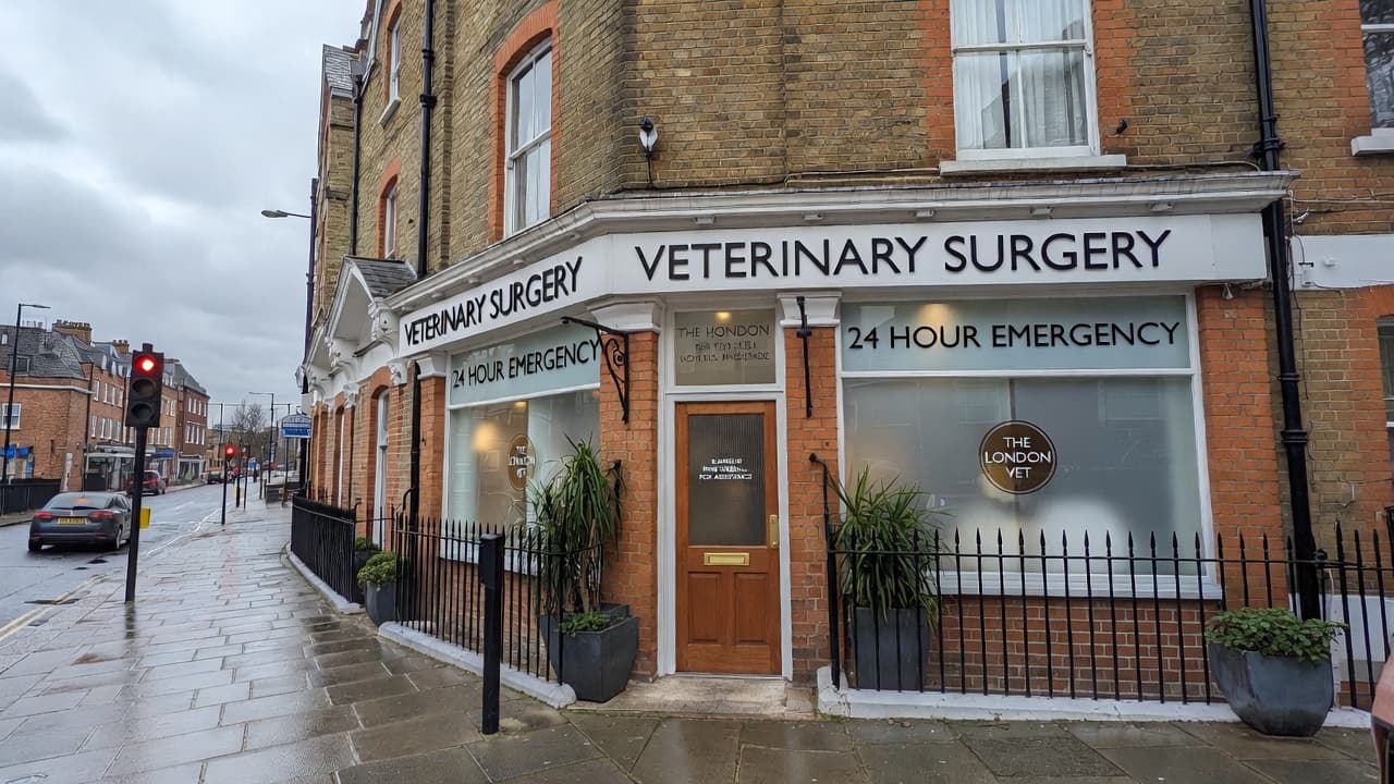 Vet cleaning service in London